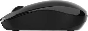 Rapoo 1310 Wireless Optical Mouse schwarz, USB
