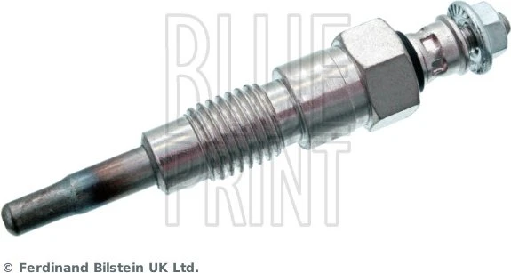 Blue Print ADN11815