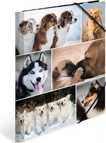 Herma Sammelmappe Karton, A4, Tiermotiv Hunde