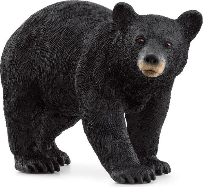 Schleich Wild Life - Amerikanischer Schwarzbär