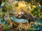 Ravensburger Puzzle Leopardenfamilie im Dschungel Vorschaubild