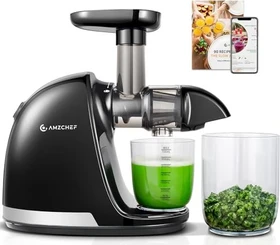 Amzchef ZM1501 Slow Juicer schwarz