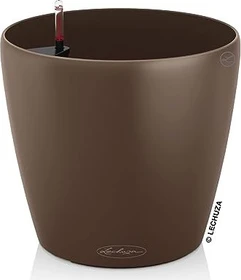 Lechuza Classico Color 18 muskat