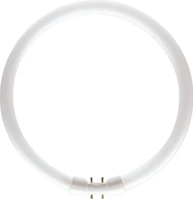 Philips Master C-T5 Circular 60W/830 1CT/10 2GX13