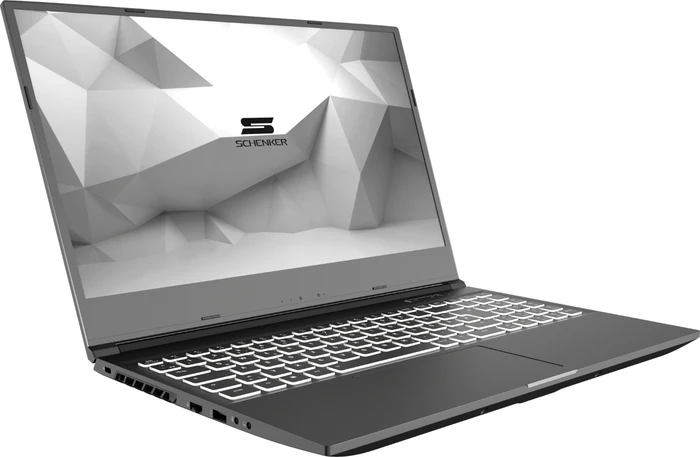 Schenker Media 15-E20vmn, Core i7-10750H, 32GB RAM, 1TB SSD, GeForce RTX 2060, DE
