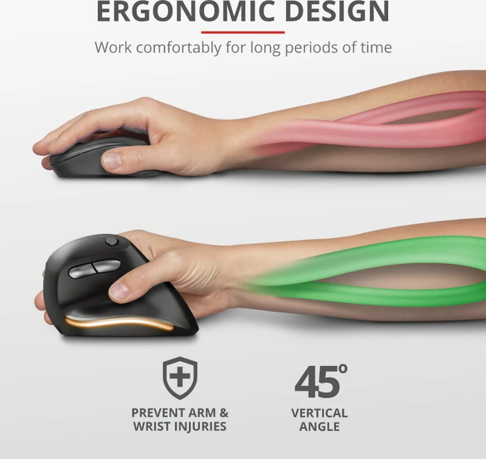 Trust Bayo Wireless Rechargeable Ergonomic Mouse, schwarz/grau, USB