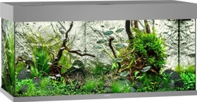 Juwel Rio 180 LED Aquarium-Set, grau, 180l