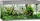 Juwel Rio 180 LED Aquarium-Set, grau, 180l (04650)