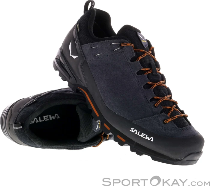 Salewa Mountain Trainer Classic GTX onyx/autumnal (Herren)