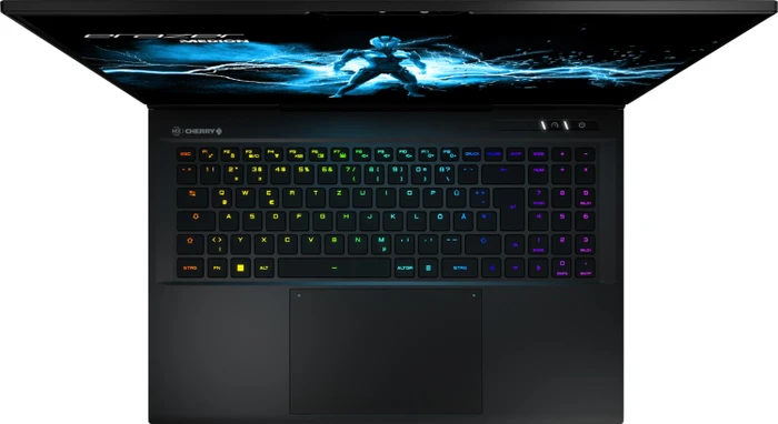 Medion Erazer Beast X40, Core i9-14900HX, 32GB RAM, 1TB SSD, GeForce RTX 4080, DE
