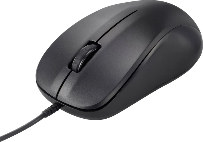 Renkforce RF-WEM-110 Optische Maus schwarz, USB