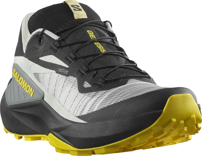 Salomon Genesis black/metal/incaberry (Herren)