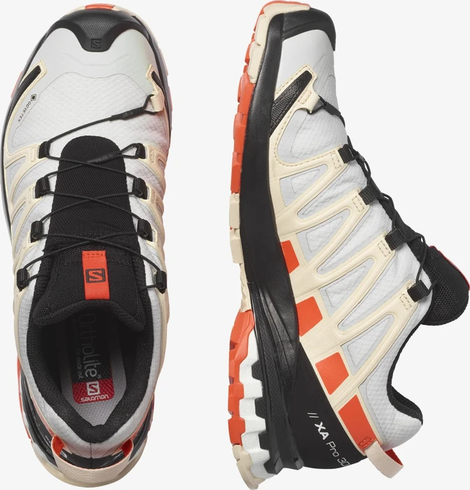 Salomon XA Pro 3D V8 GTX lunar rock/cherry tomato/sun kiss (Damen)