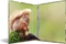Herma 4D Ringbuch 4-Ring, 30mm, A4, Motiv Waldtiere Vorschaubild