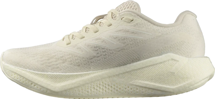 Salomon Aero Blaze 3 vanilla ice/white (Damen)