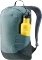Deuter Aviant Access Pro 65 SL jade/ivy (Damen) Vorschaubild