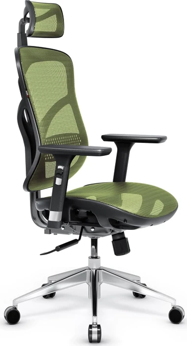 Diablo Chairs V-Basic Ergonomischer Bürostuhl, schwarz/grün