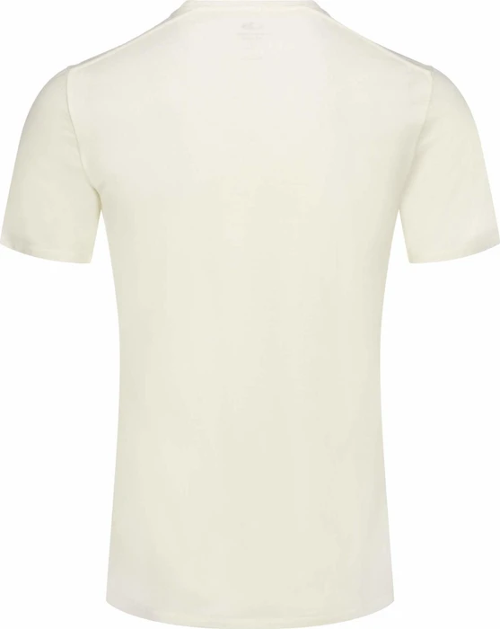 Icebreaker Anatomica Crewe Funktionsshirt kurzarm snow (Herren)