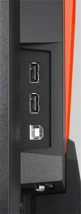Eizo Foris FG2421, schwarz, 23.5"