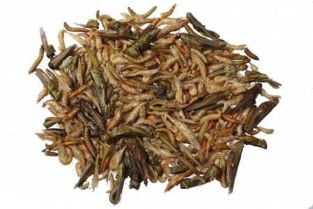 JR Farm Eiweiß-Cocktail, 10g