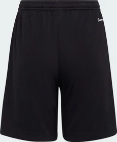 adidas Entrada 22 Shorts schwarz (Junior)