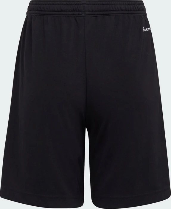adidas Entrada 22 Shorts schwarz (Junior)