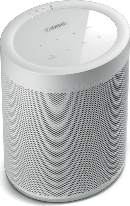Yamaha MusicCast 20