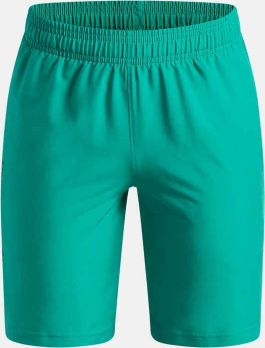 Under Armour Tech Woven Wordmark Hose kurz (Junior)
