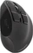 Natec Euphonie Vertical Wireless Mouse schwarz, USB/Bluetooth Vorschaubild