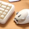 Akko x Waigua Cat Theme Wireless Mouse, Ragdoll Cat, USB Vorschaubild