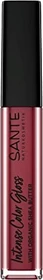 Sante Intense Color Gloss Lipgloss 03 stubborn plum, 5.3ml