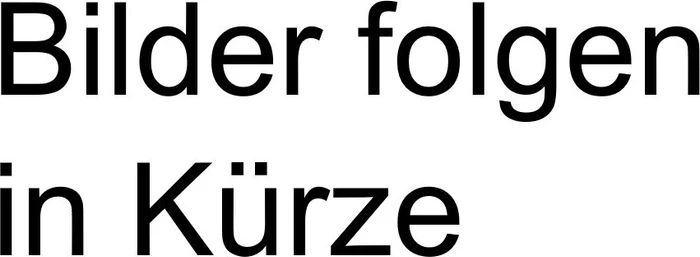 Fein WSG 11-125 Elektro-Winkelschleifer