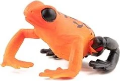 Papo Wildtiere der Welt - Roter Äquatorial Frosch